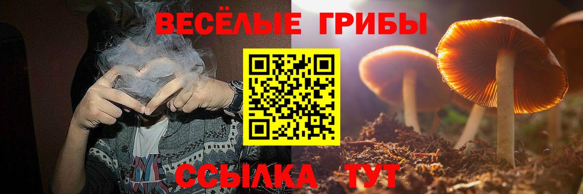 Галлюциногенные грибы прущие грибы Ижевск